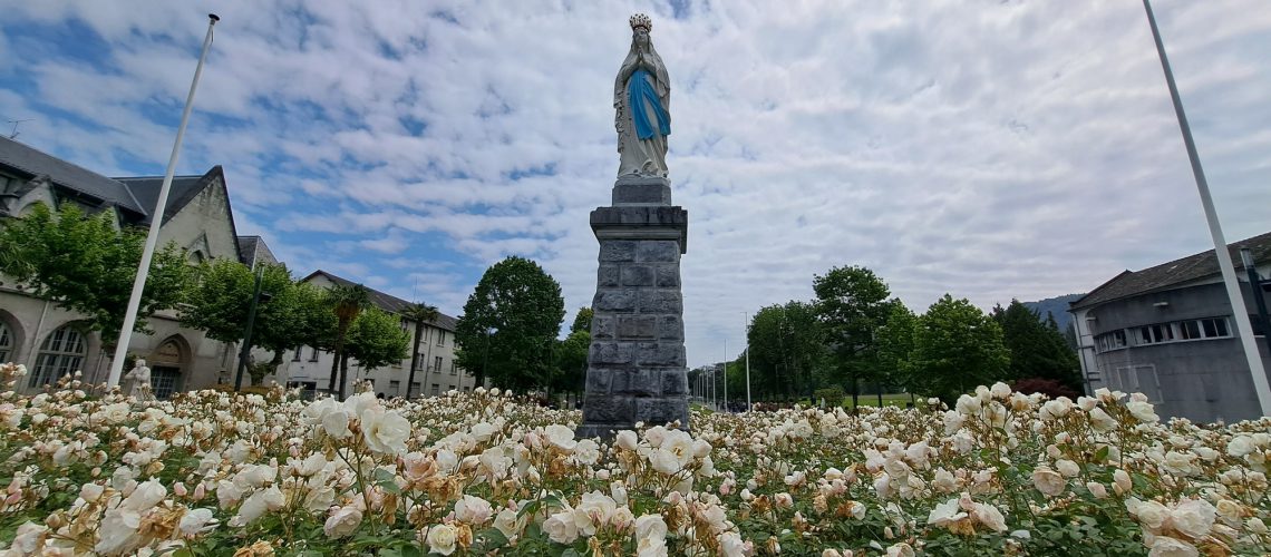 20230520_122036(1)