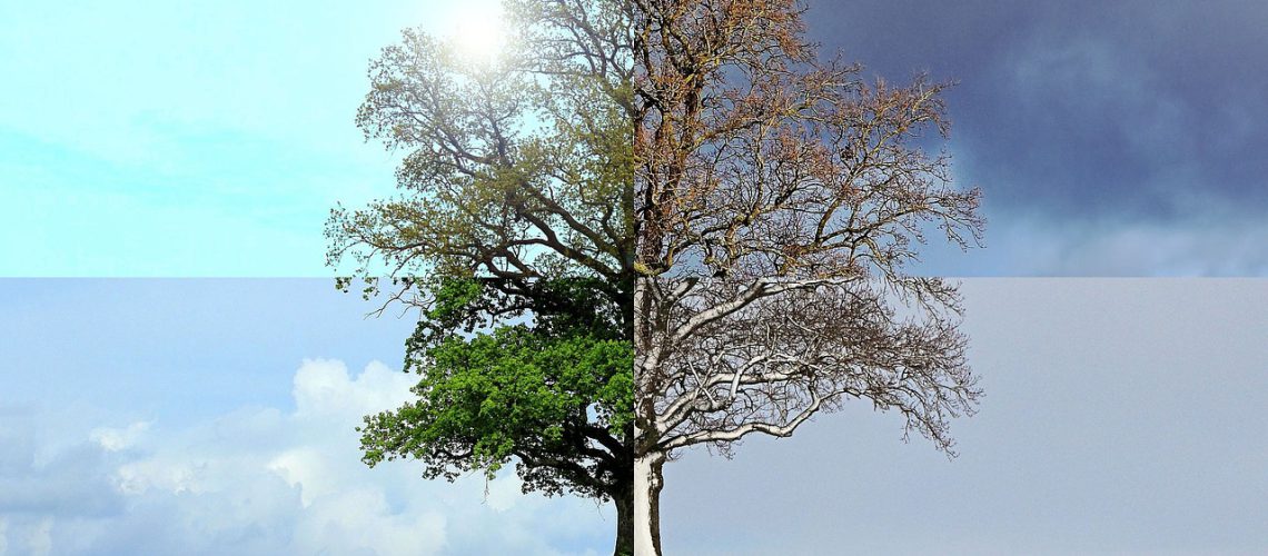 seasons-of-the-year-1127760_1280